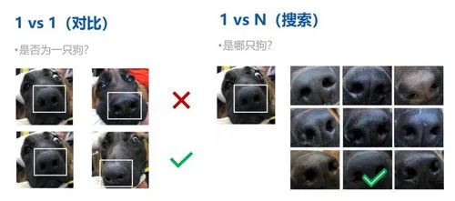 【图】黑科技产品有哪些?盘点这 10 家国内黑科技公司的黑科技产品 【图】黑科技产品有哪些?盘点这 10 家国内黑科技公司的黑科技产品